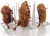 Решётка Superspike для уток на 8 уток GN 1/1 (530х325) RATIONAL 6035.1009 в ШефСтор (chefstore.ru)
